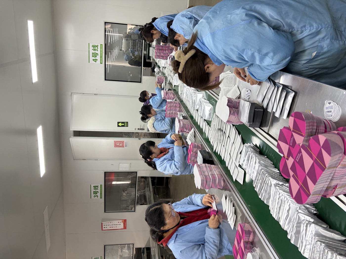 湖北蕲艾供应链艾灸贴生产产线实拍