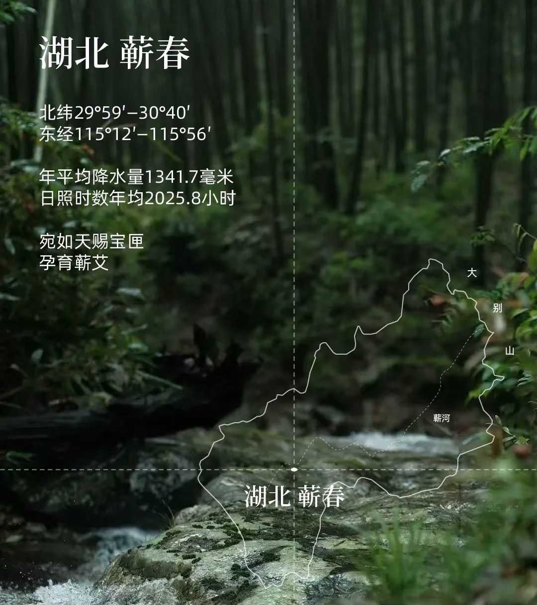 供应链海报1