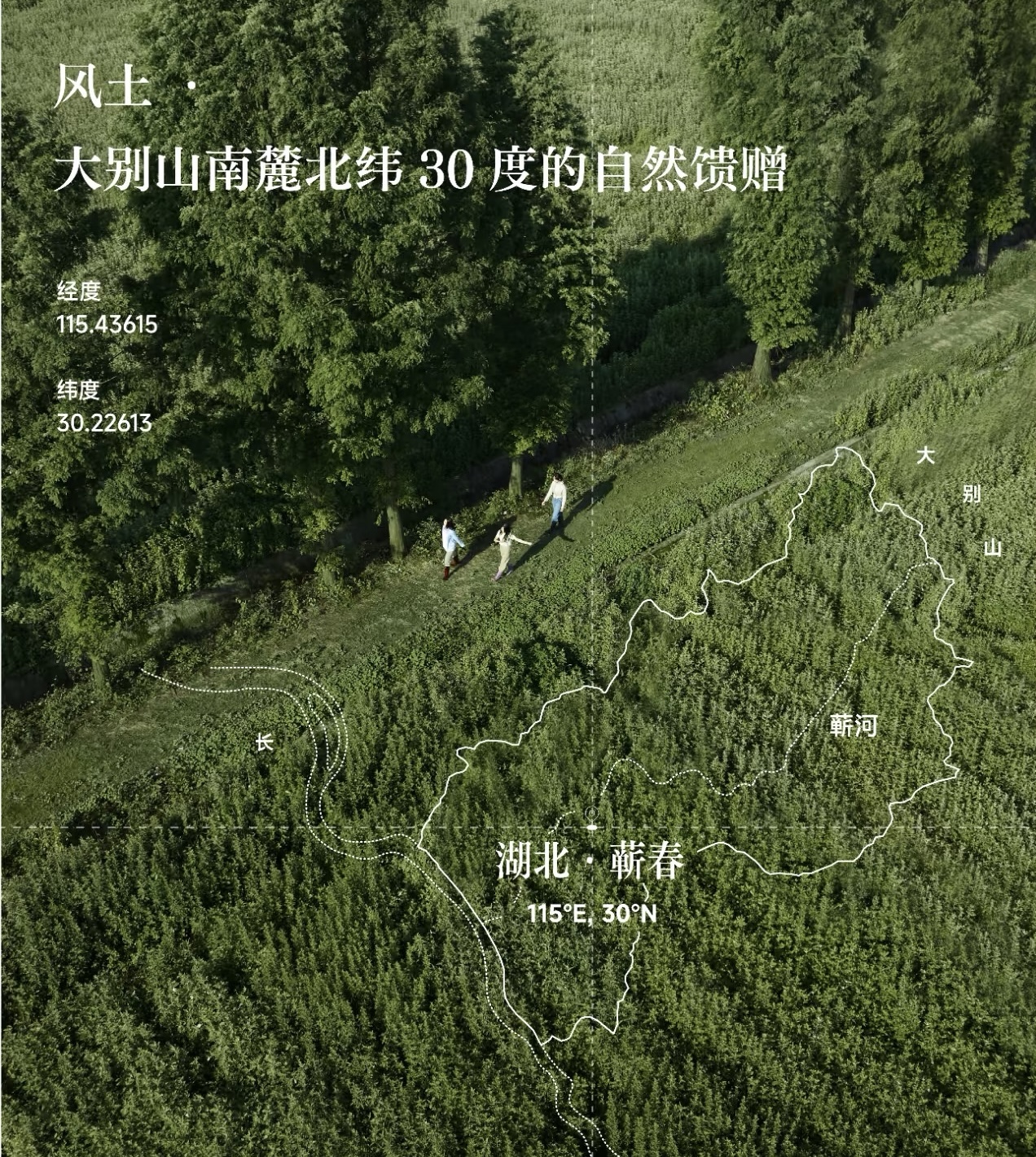 供应链海报2